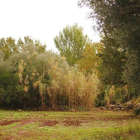 Il Giardino Di Viola Acomodação com café da manhã Ceglie Messapica Exterior foto