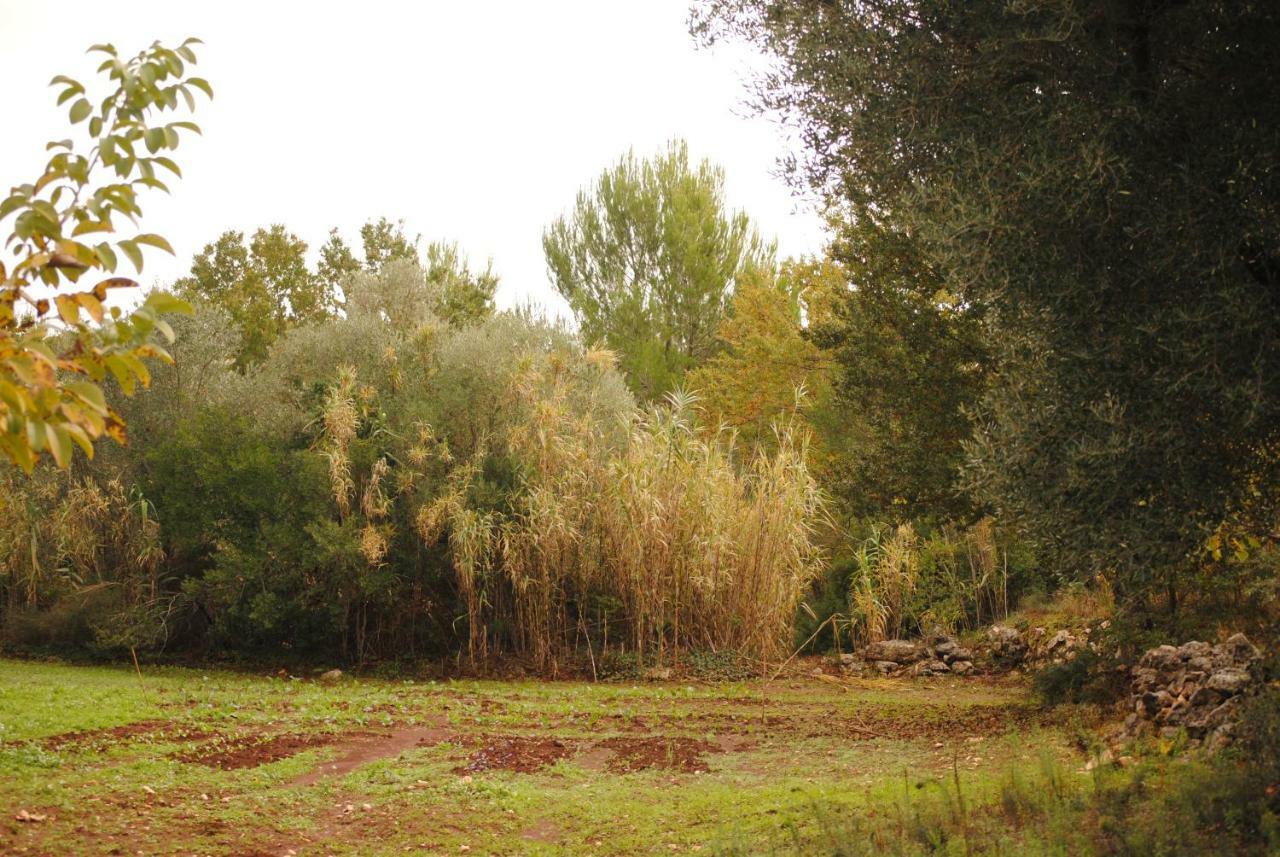 Il Giardino Di Viola Acomodação com café da manhã Ceglie Messapica Exterior foto