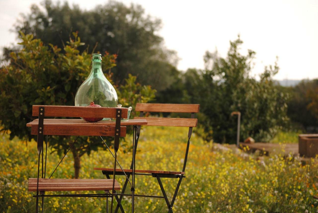 Il Giardino Di Viola Acomodação com café da manhã Ceglie Messapica Exterior foto