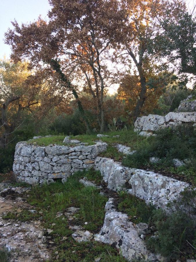 Il Giardino Di Viola Acomodação com café da manhã Ceglie Messapica Exterior foto