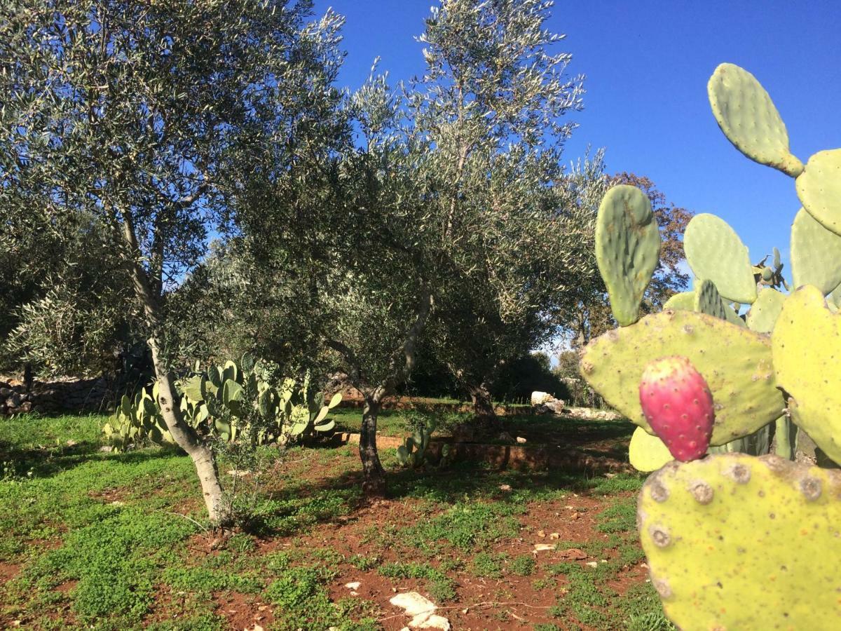 Il Giardino Di Viola Acomodação com café da manhã Ceglie Messapica Exterior foto
