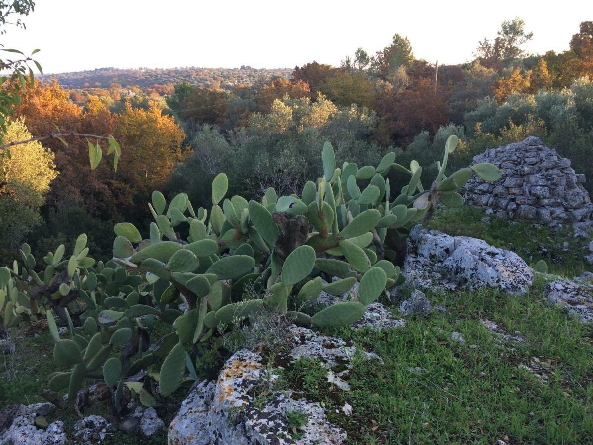 Il Giardino Di Viola Acomodação com café da manhã Ceglie Messapica Exterior foto